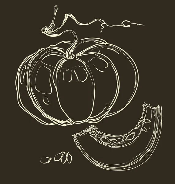 Vector hand drawing a beautiful pumpkins — Stock Vector