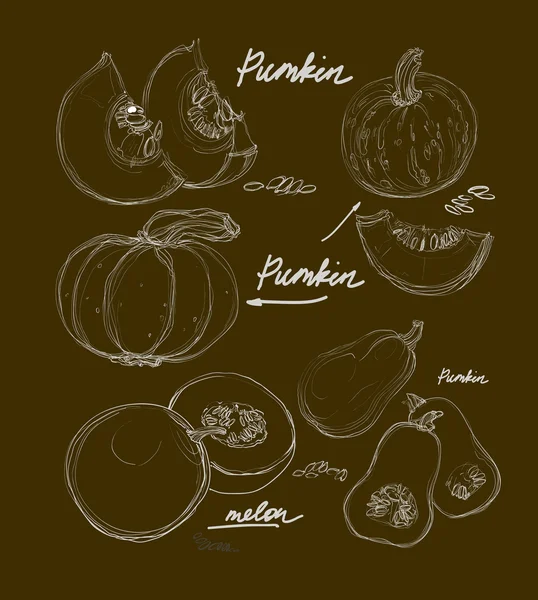 矢量手绘制漂亮的南瓜 — 图库矢量图片