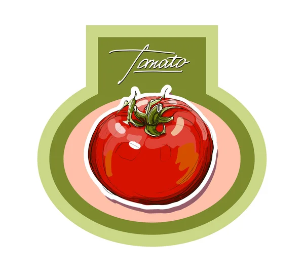 Vector hand drawing juicy tomatoes — Stock Vector