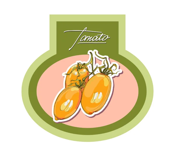 Vektor Hand Zeichnung saftige Tomaten — Stockvektor