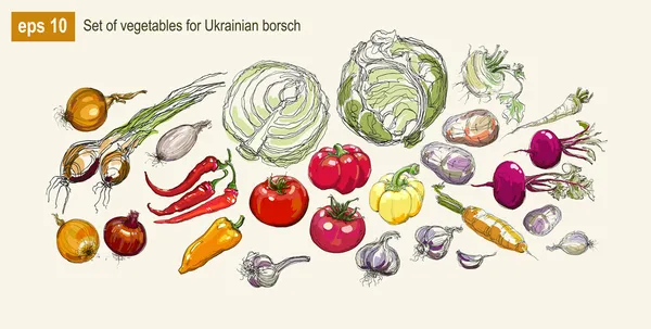 Vector realista mano dibujo conjunto de verduras — Vector de stock