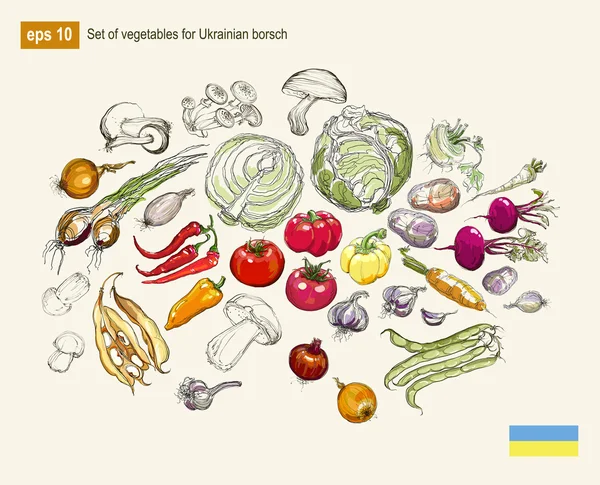 Serie di disegno vettoriale realistico mano di verdure — Vettoriale Stock