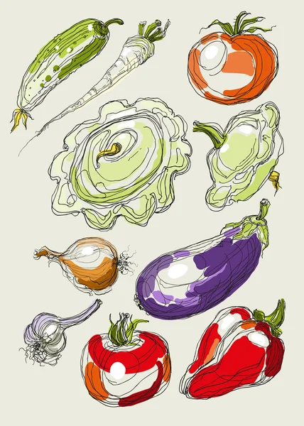 Realistická vektorová ruční kreslicí sada zeleniny — Stockový vektor