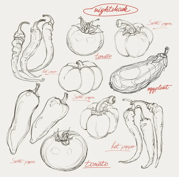 Serie di disegno vettoriale realistico mano di verdure — Vettoriale Stock