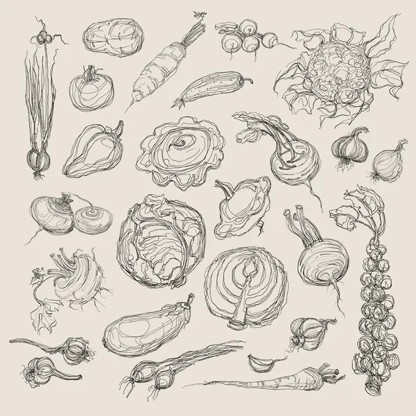Vector realista mano dibujo conjunto de verduras — Archivo Imágenes Vectoriales