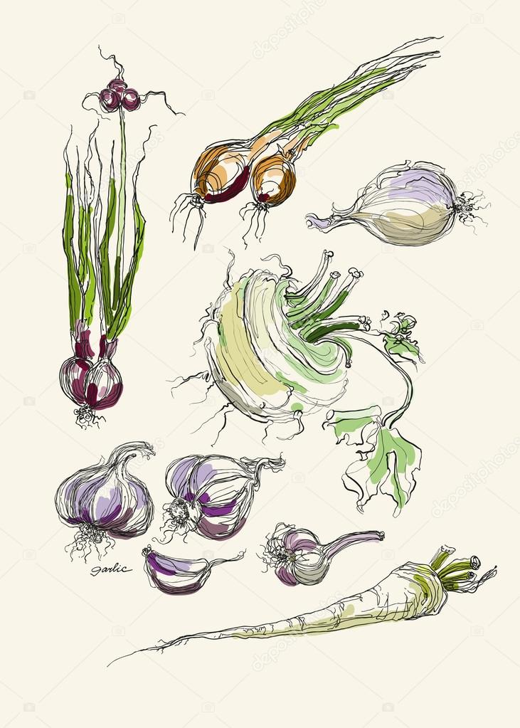 Conjunto de ilustrações vetoriais de vegetais, coleção de vegetais