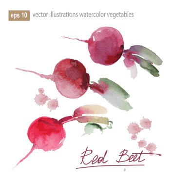 beyaz zemin üzerine suluboya sanat boya.