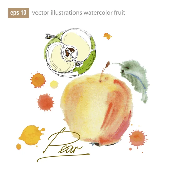 Illustrazione vettoriale serie di frutti ad acquerello — Vettoriale Stock