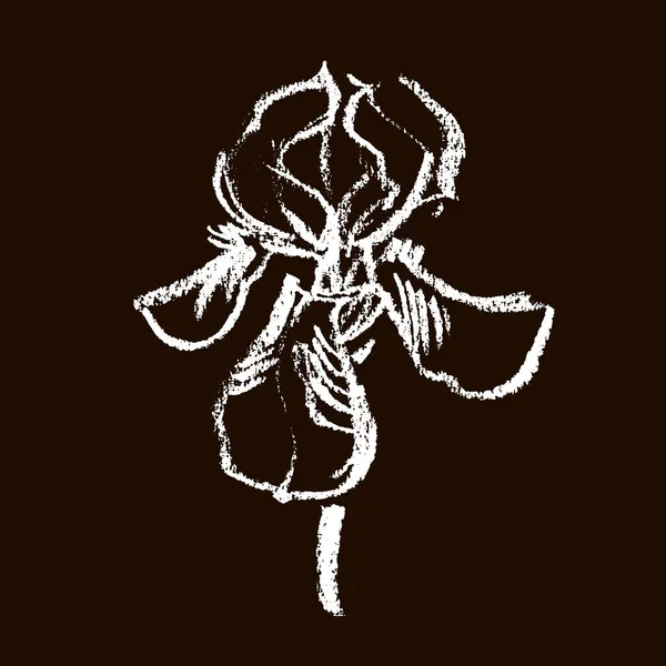 Logotipo Flor Vetorial Fundo Floral Giz Caligráfico Íris Giz Caligráfica — Vetor de Stock