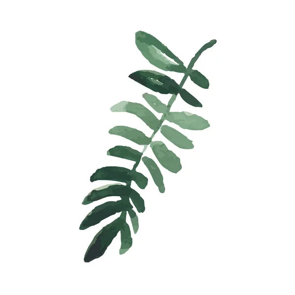 Ikonvektorblad Ekologisk Natur Hälsosamt Koncept Grön Naturlig Växtsymbol Logotypkonstruktion Modern — Stock vektor