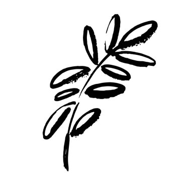 Simge vektör yaprağı. Eko-doğa sağlıklı bir kavram. Yeşil doğal bitki sembolü. Logo işareti tasarımı. Modern fırça mürekkep çizimi beyaz arkaplanda izole edildi