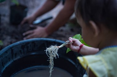 Bir kız kökten filizlenir, genç bir kadın anne ve kızı bahçelerine ya da doğa tarlasına ağaç dikerler..