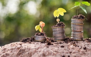 Maliye ve bankacılık, para tasarrufu fikirleri ve büyüyen finans için madeni para yığınları üzerine ekilen madeni paralar ve bitkiler.