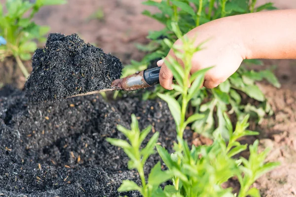 Çiftçilik, bahçıvanlık, tarım ve insan kavramları - kürekli insanlar bahçe yatakları veya çiftlikler kazıyor..