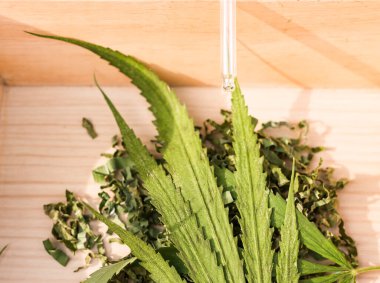 Marihuana, doğal kozmetik ve ilaç kavramı.