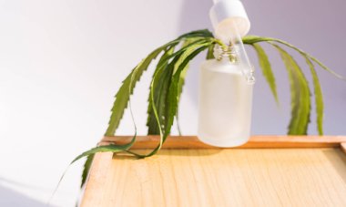 Marihuana, doğal kozmetik ve ilaç kavramı.