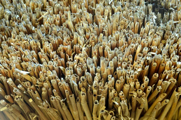 biçimli kuru sazlığı yakın plan kes