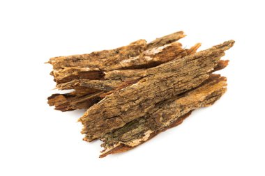 Bark tree isolated on white background,(nomnang)Thailand herbs ,Herbal breast milk