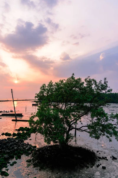 beautiful landscape  sky and clound sunset