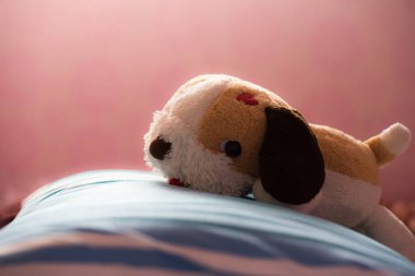 plush dog in bedroom,Cozy children's bedroom