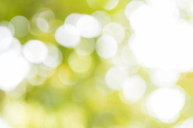 Doğa üzerindeki yeşil bokeh. Sanat soyut bulanık arkaplan.