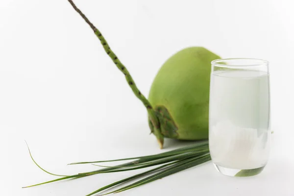 Coconut Juice Drink Coconut Water White Background — 图库照片