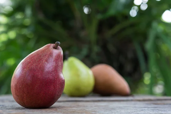 Αχλάδια Αγριοτριανταφυλλιάς Bartlett Pear — Φωτογραφία Αρχείου