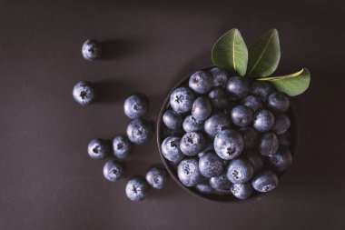 siyah arka plan üzerine yaban mersini