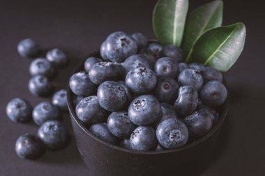 siyah arka plan üzerine yaban mersini