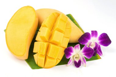 mango and sticky rice,Thai style tropical dessert on white background