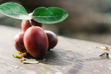 Carissa Carandas, tahtada taze organik Carunda.