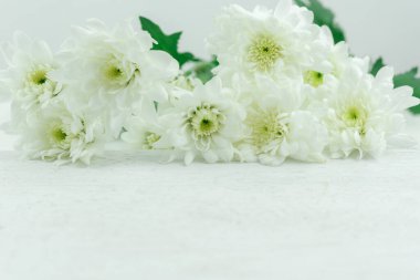 Beyaz arkaplanda beyaz çiçek