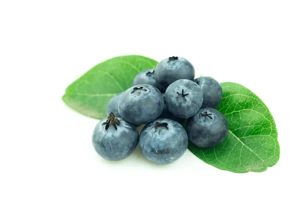 蓝莓在白色背景上分离 新鲜蓝莓与蓝莓叶 — 图库照片