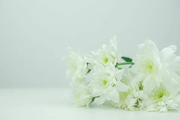 white flower on white background