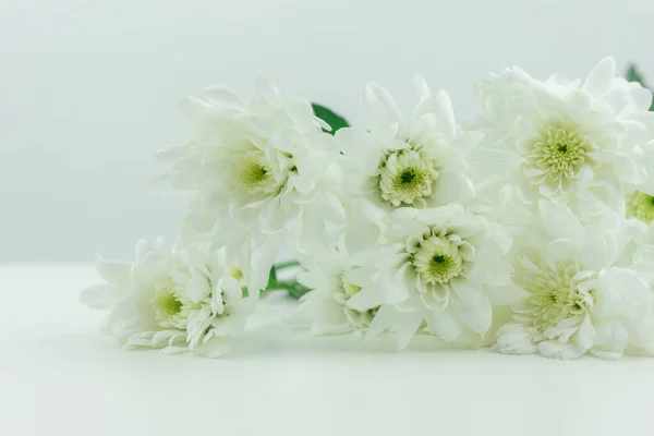 white flower on white background