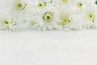 Beyaz çiçek arkaplanı kapat