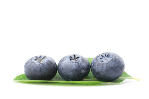 Blueberries Isolated White Background — Stock Photo, Image