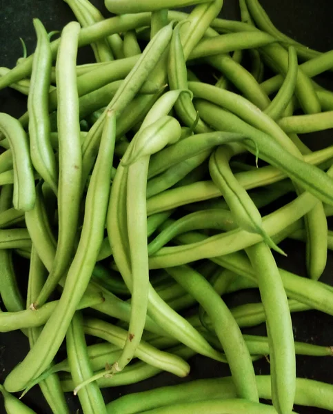 Feijão Francês Sem Legumes Verdes — Fotografia de Stock