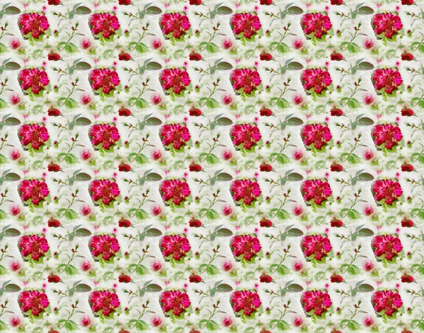 Pink Rose Bud Flower Pattern Texture Pattern Background — Foto de Stock
