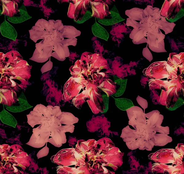 pretty pink and black rose flower pattern design backgroun