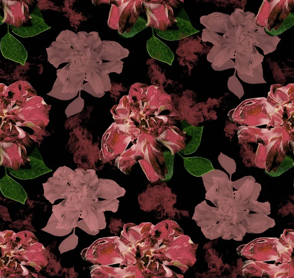 Light Pink Rose Brush Textured Dark Background Seamles — Stock Photo, Image