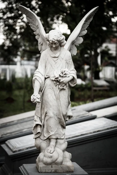 Socha anděla v Starém hřbitově muzeum prasasti — Stock fotografie