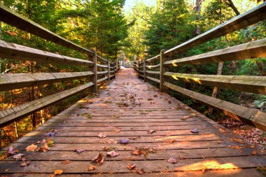 Boardwalk Trail clipart