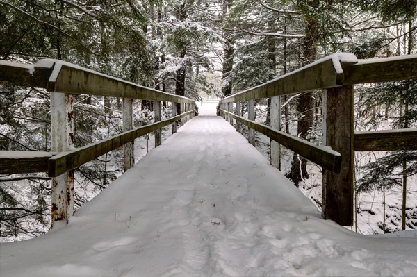 Vinterpromenad — Stockfoto
