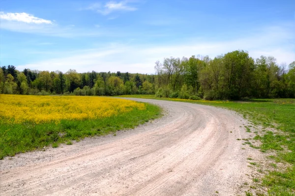 Down The Dirt Road — Stock Photo, Image