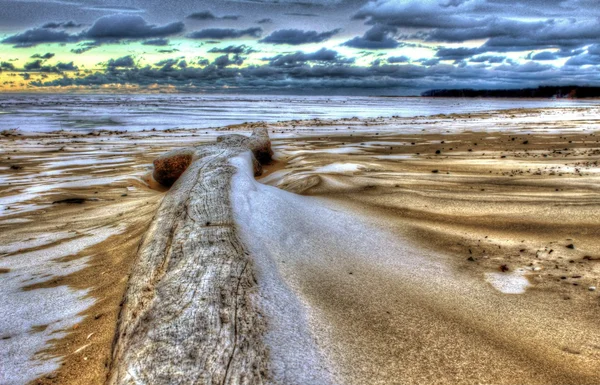 Driftwood spiaggia — Foto Stock