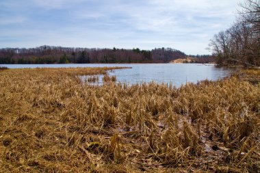 kıyılarımıza Kaydet