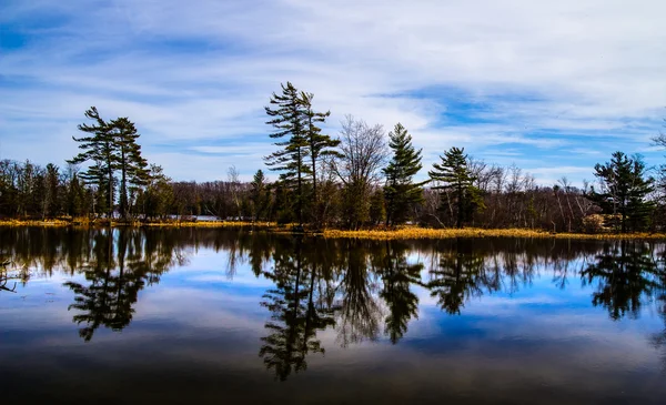 Reflexões da natureza selvagem — Fotografia de Stock