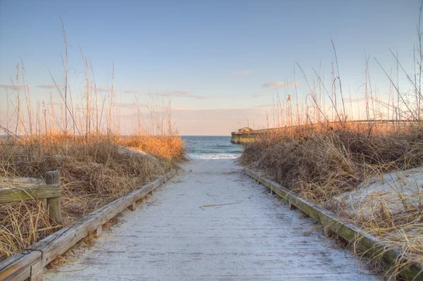 Mirto spiaggia stato parco — Foto Stock