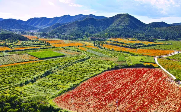 北京四季鲜花海下太阳旅游区 — 图库照片